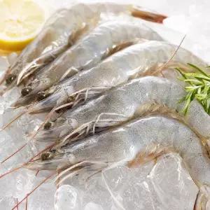 국산 흰다리새우 500g 1kg 국산 생물 양식 새우소금구이 밥반찬 해물탕용 술안주 간식 요리 안주