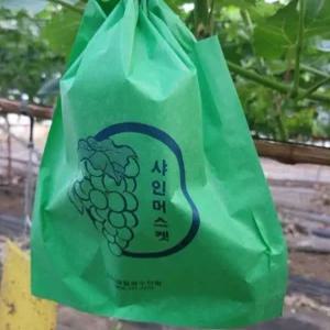샤인머스켓 봉지 봉투 포도 봉지씌우기 과수봉지 200매