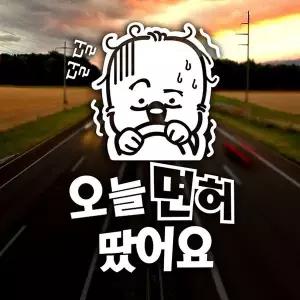 [셀러에이드]오늘면허땄어요 반사시트지 초보운전 자동차스티커
