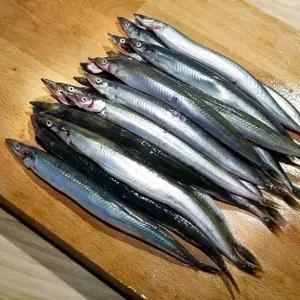 생물 양미리 1kg