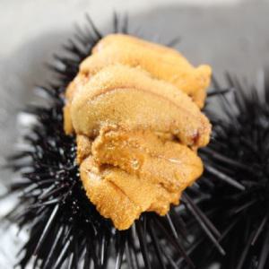 성게알100g 초밥 횟감 비빔밥추천