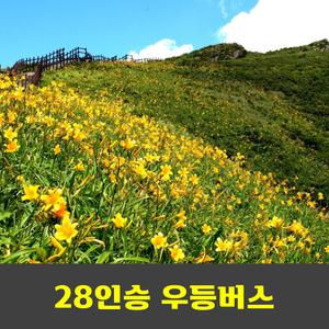 덕유산 원추리꽃 야생화 향적봉 국립공원 100대명산 안내산악회