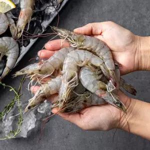 더싱싱 국내산 생물 흰다리새우 1kg 45미 내외)