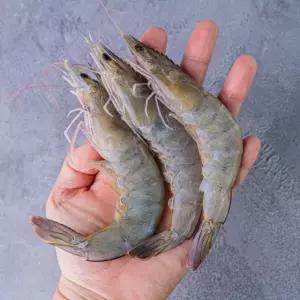 국내산 활 흰다리새우 500g