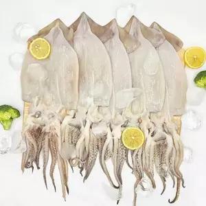 늘푸른 손질오징어 500g 1팩