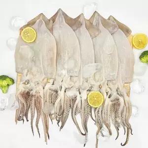 늘푸른 손질오징어 500g 2팩