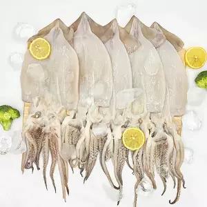 [지투지샵] 늘푸른 손질오징어 500g 1팩