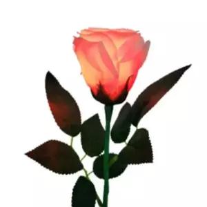 딜라이트 미포함 마술 조명 미니 인테리어 장미 핑크 라이트장미 불빛장미 (WFJCY80)