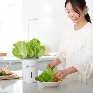 화분형 식물재배기 수경재배 가정용 스마트팜 재배기