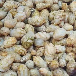 국내산 진동 오만둥이 3kg