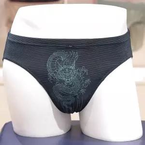 [휠라]FI4BFG1609M(DPT) 청룡 프린트 스판 투톤 남성 삼각팬티