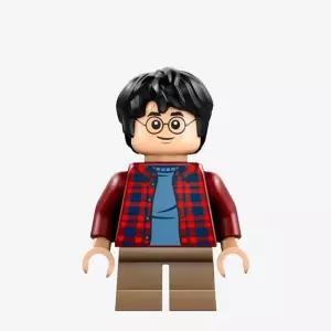 레고 미니피겨 해리 포터 HP481