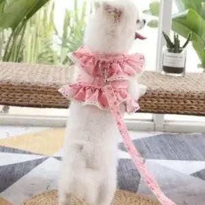 강아지 러블리 레이스 플라워 하네스 조끼 1P 꽃패턴 리드줄 세트 산책