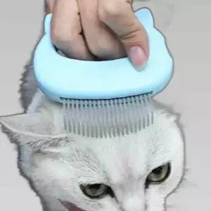 (특가) 고양이 힐링 브러쉬 마사지 그루머 제거 죽은털