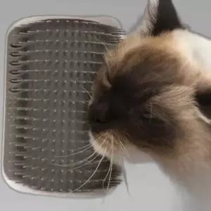 고양이 셀프 그루밍 마사지 빗 브러쉬 (캣닢 포함) 털제거