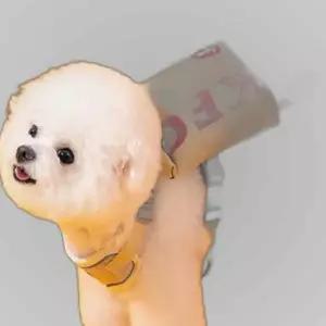 가방 웃는 프렌치프라이 귀여운 가슴줄 리드줄 하네스