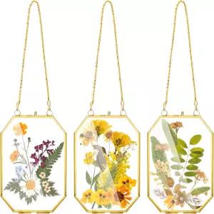 AVLA 3 팩 프레스 플라워 유리 프레임 체인이 달린 작은 황동 플로팅 황금색 매달린 액자 예술 작품 건조