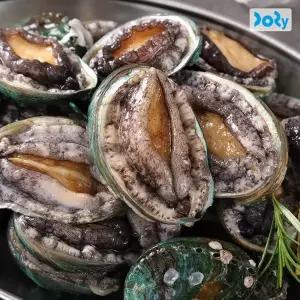 [맛도리] 국내산 여름 보양식 완도 활전복 1kg (10-13미) 초복 삼계탕 버터구이