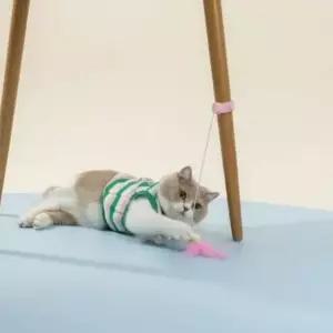 실리콘 매직팔찌 고양이 낚시대 깃털 사냥놀이 300mm 반려묘 장난감