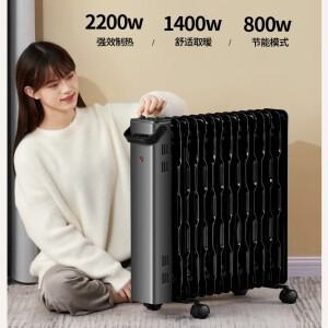 220V 파이오니어 오일 필드 라디에이터 히터 에너지 절약형 가정용 거실 대형 전기 BDD