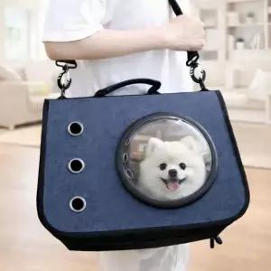 [콩심팥심]고양이 이동가방 애견가방 펫용품 강아지 켄넬 반려동물 캐리어