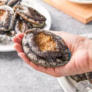 신선특허 기삼전복 4-6미 1kg 내일출고 산지직송 선물세트