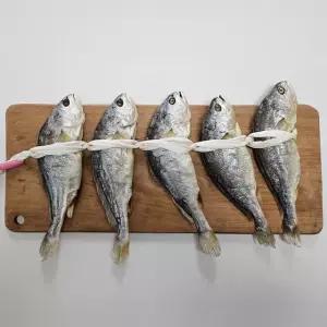 특왕 부세 보리굴비 엮걸이 포장 5미 30cm이상