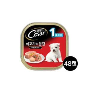 시저 강아지캔 1세이하 쇠고기와 달걀 100g 48개