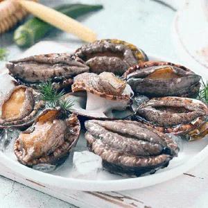 [현탑수산]왕특대 완도 활전복 1kg 8-9미 산소포장 산지직송