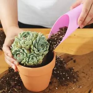 원예 플라스틱 흙삽 가드닝 미니 삽 스쿱 5Color 정원삽 흙담는삽