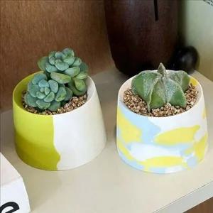 작은 다육 화분 인테리어 도자기 화분 가드닝 키트 책상