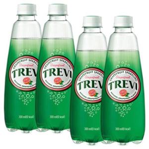 롯데 트레비 자몽 300ml 40PET (20펫x2박스)