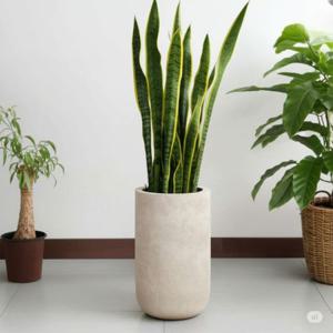 2개셋트 베하몰 초경량 FRP 화분 유로스톤 긴원통