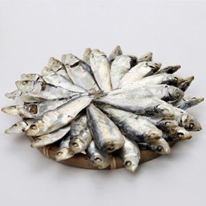 밴댕이 디포리 1.5kg AA급 5-7 사이즈 만능육수
