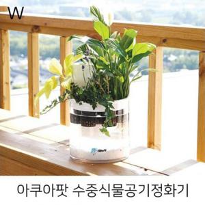 아쿠아팟 수중식물공기정화기