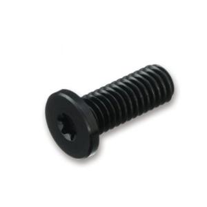 6-lobe  저두머리볼트 RENK 흑색 M6x16mm 20개