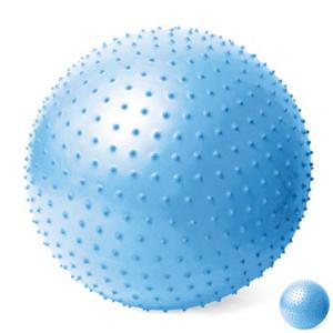 밸런스볼 짐볼운동 하프 필라테스 발란스 밸런스팟 돔볼 짐볼 65cm 알래스칸 블루 마사지볼