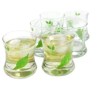 그린허브 유리 주스잔 255ml 6인조 맥주잔 언더락 물컵 다용도 글라스