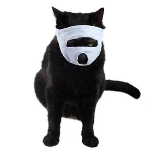 고양이 안심 입가리개 블루 L 1P 물림 방지 미용 마스크