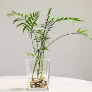 사각 화병 12x12x30cm 조화화병 집들이선물 꽃꽂이화병 유리꽃병 투명화병