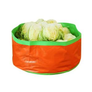 김장깔판 김장절임 김장백 배추절임 김치 김장패드