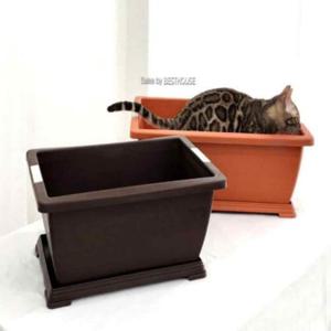 사각대형화분 고추화분 직사각화분받침대 플라스틱 채소밭 화분 50x32