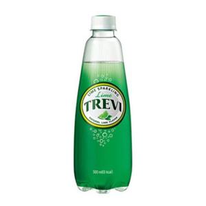 트레비 라임 500ml (20페트)