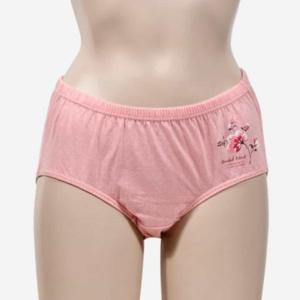 여성 맥시팬티 5매입 순면팬티 여성팬티 여성면팬티