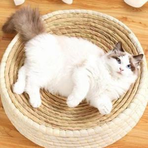 빅사이즈 방석 깔끔정리 반려동물 라운드 고양이 아이템 꾹꾹이 45cm