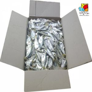 DHD-M 디포리 1.5kg 국산 (반품불가)