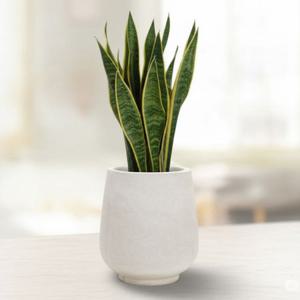 베하몰 초경량 FRP 화분 유로스톤 볼링핀S 20x26cm