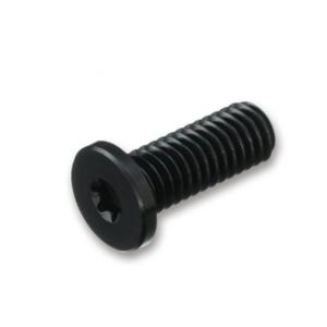 6-lobe  저두머리볼트 RENK 흑색 M6x12mm 20개