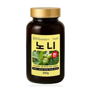 (6158) 노니환