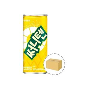 써니텐 파인애플향 250ml (30캔)